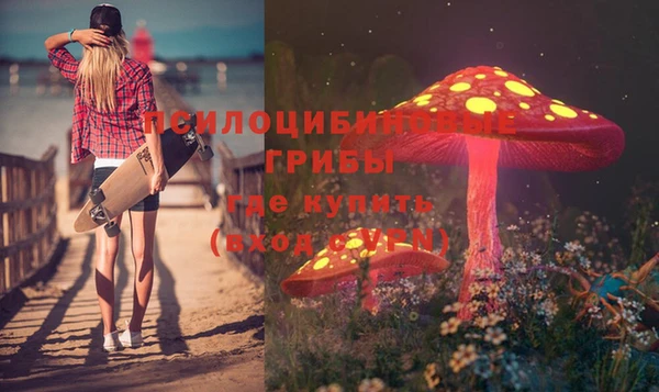 трава Верхнеуральск